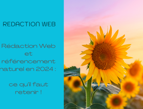 Rédaction Web et référencement naturel en 2024 : ce qu’il faut retenir !