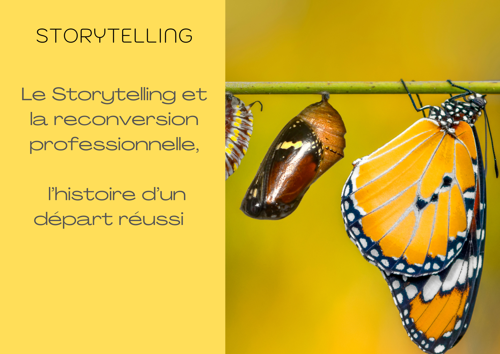 storytelling-et-reconversion-professionnelle